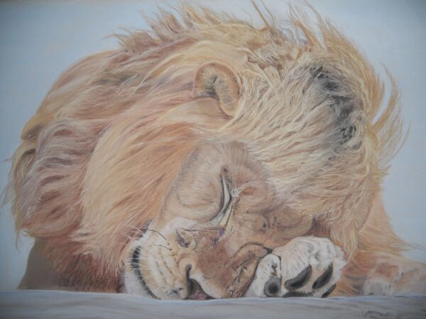 Lion Pastel Painting
