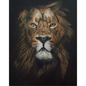 Lion with black Backround oil painting