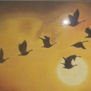 Migrating Birds Sunset