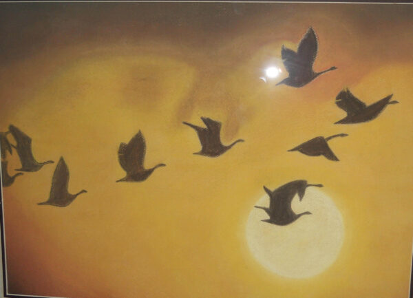 Migrating Birds Sunset