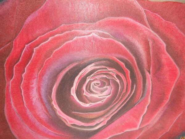 Rose Pastel Painting